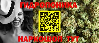 сатива Обнинск