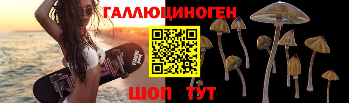 Галлюциногенные грибы Psilocybe  Псилоцибиновые грибы Psilocybe  Тулун  Вход с VPN 